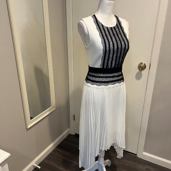 BCBGMaxAzria "Adelyn" Off White Sleeveless Pleated Skirt Lace Trim Dress, Size 4 - Picture 7 of 16